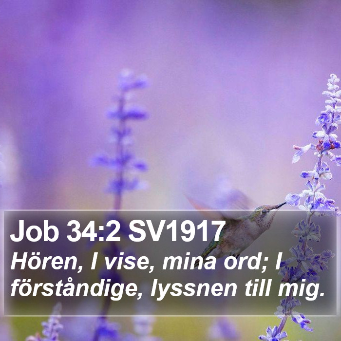 Job 34:2 SV1917 Bible Study