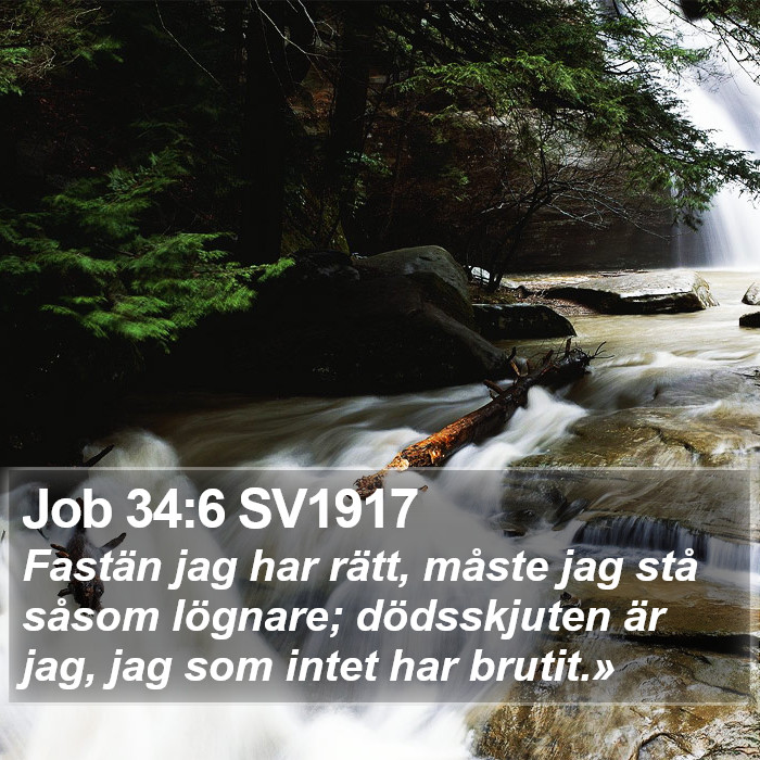 Job 34:6 SV1917 Bible Study