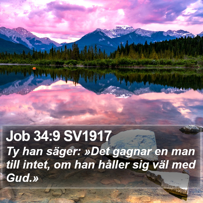 Job 34:9 SV1917 Bible Study