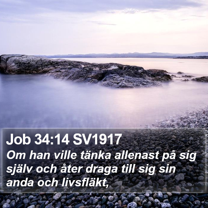 Job 34:14 SV1917 Bible Study