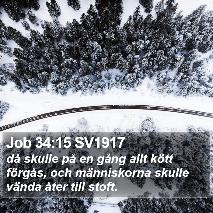 Job 34:15 SV1917 Bible Study