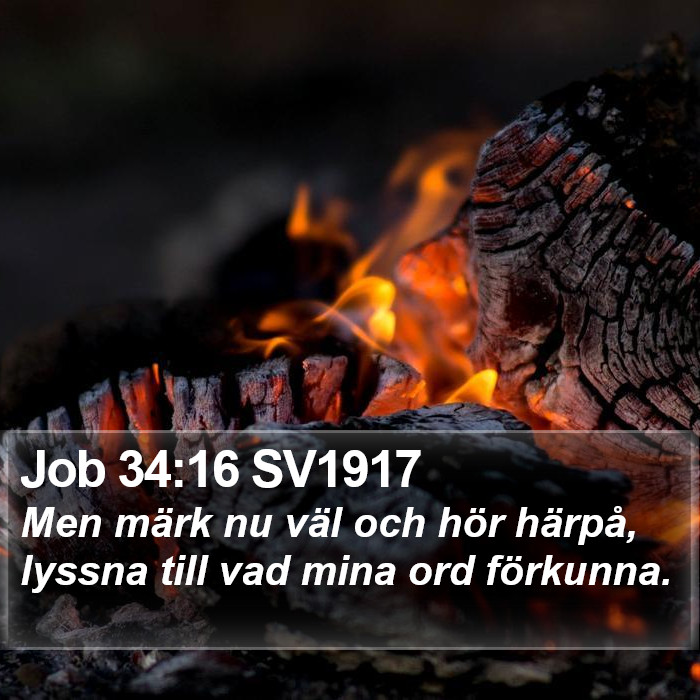 Job 34:16 SV1917 Bible Study