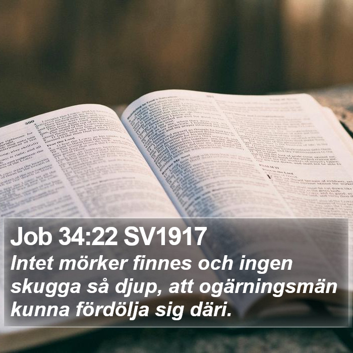 Job 34:22 SV1917 Bible Study