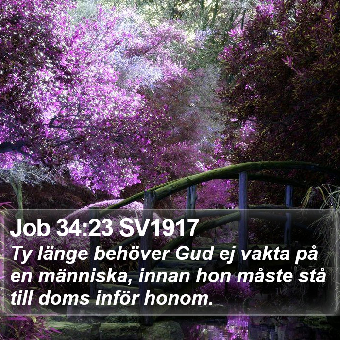 Job 34:23 SV1917 Bible Study