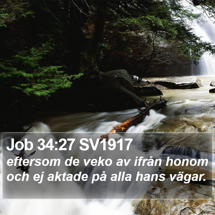 Job 34:27 SV1917 Bible Study