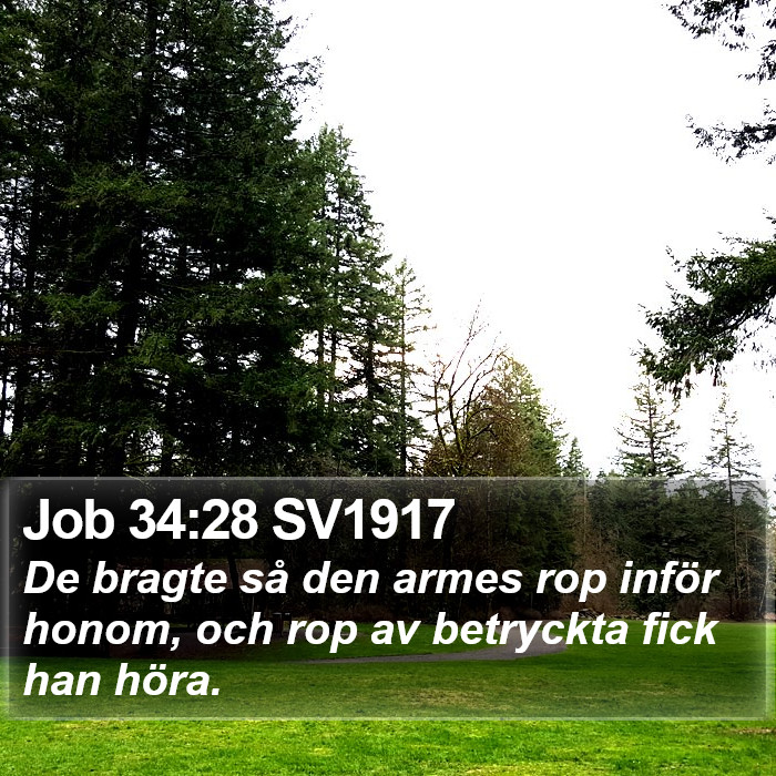 Job 34:28 SV1917 Bible Study