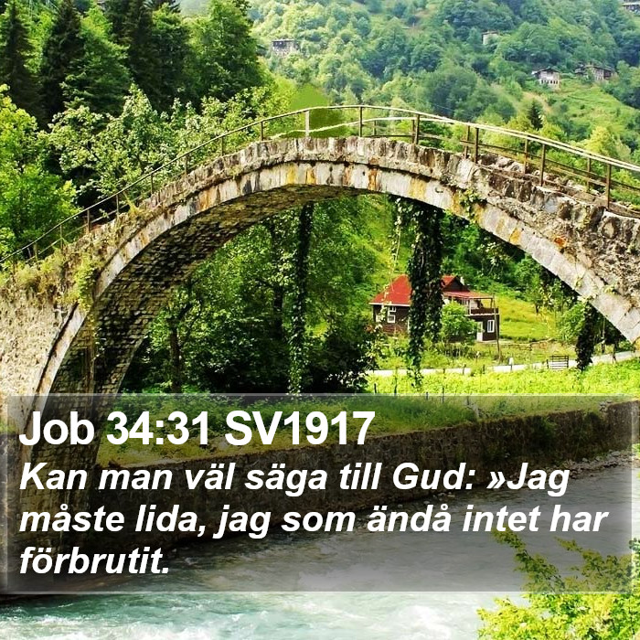 Job 34:31 SV1917 Bible Study