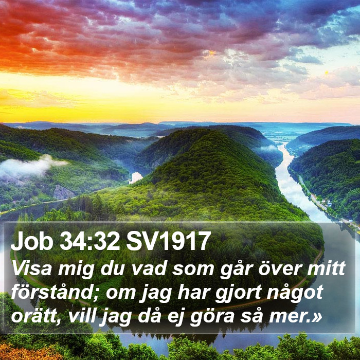 Job 34:32 SV1917 Bible Study