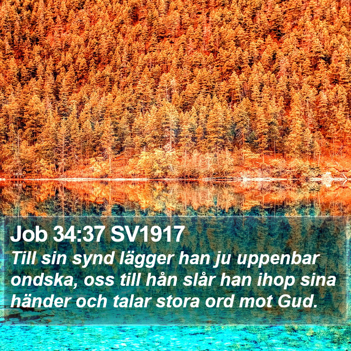 Job 34:37 SV1917 Bible Study