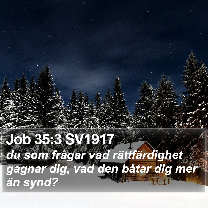 Job 35:3 SV1917 Bible Study