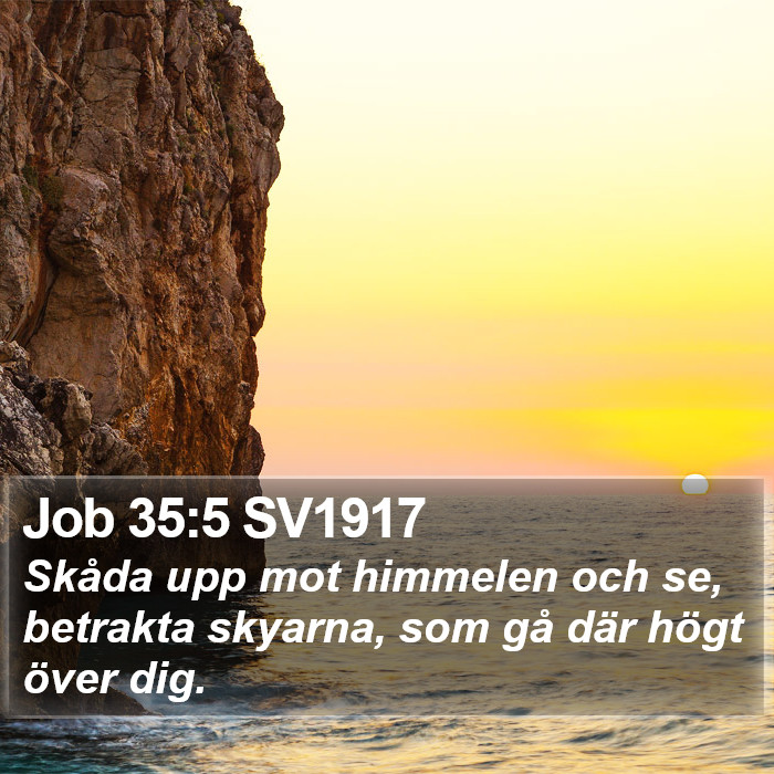 Job 35:5 SV1917 Bible Study