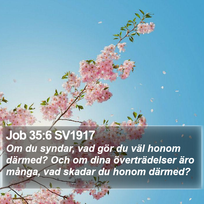 Job 35:6 SV1917 Bible Study