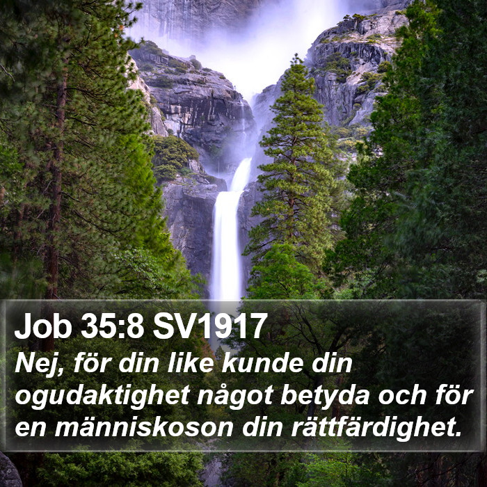 Job 35:8 SV1917 Bible Study