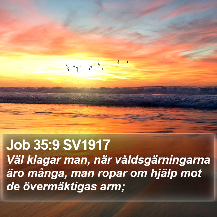 Job 35:9 SV1917 Bible Study