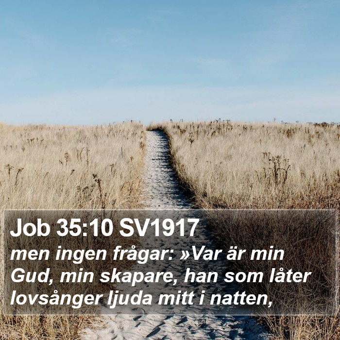 Job 35:10 SV1917 Bible Study