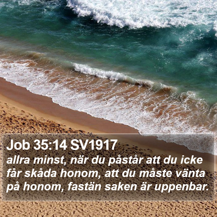 Job 35:14 SV1917 Bible Study