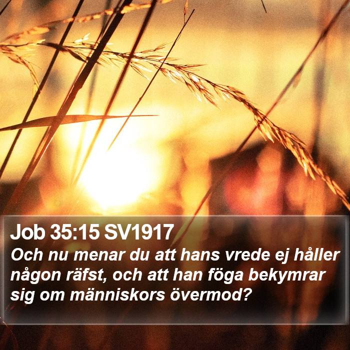 Job 35:15 SV1917 Bible Study