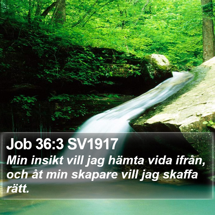 Job 36:3 SV1917 Bible Study