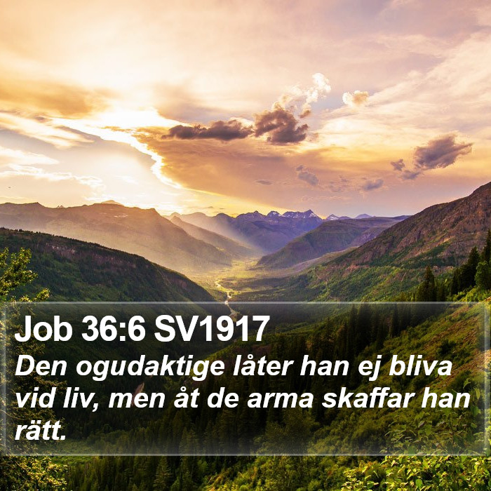 Job 36:6 SV1917 Bible Study