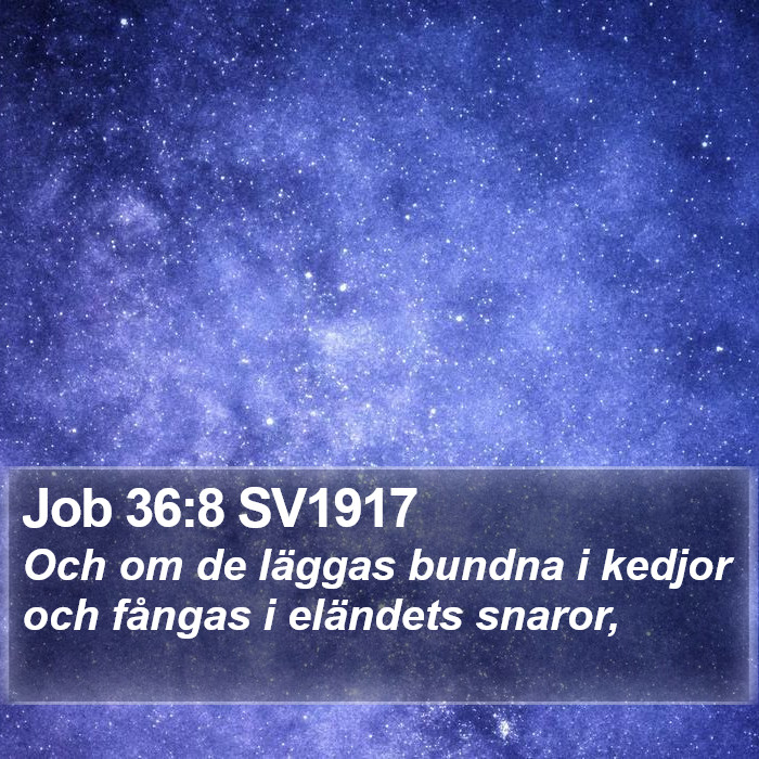 Job 36:8 SV1917 Bible Study