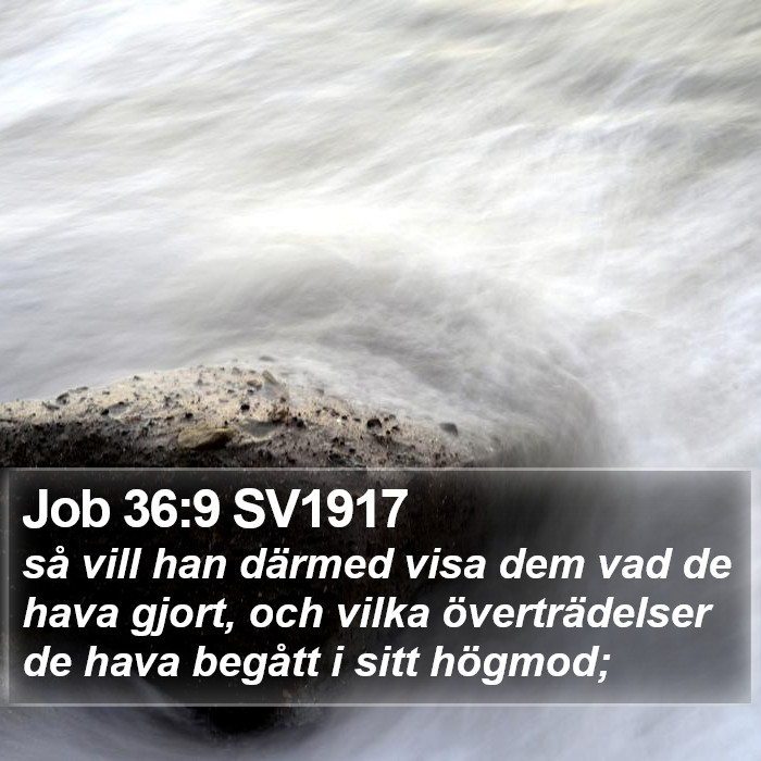 Job 36:9 SV1917 Bible Study