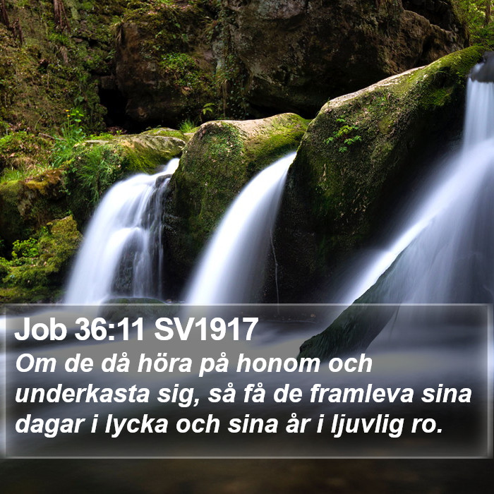 Job 36:11 SV1917 Bible Study