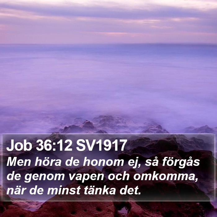 Job 36:12 SV1917 Bible Study