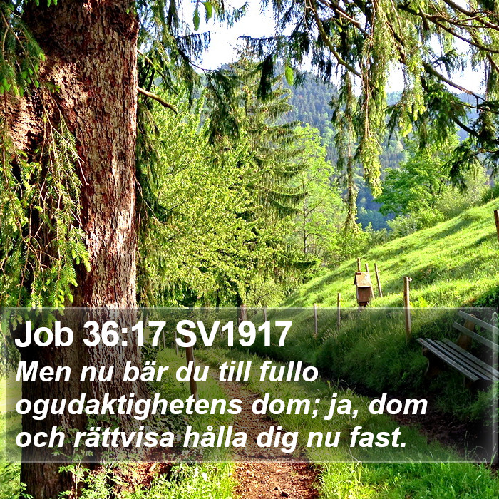 Job 36:17 SV1917 Bible Study