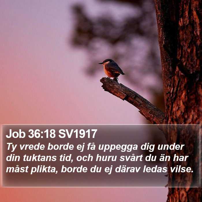 Job 36:18 SV1917 Bible Study