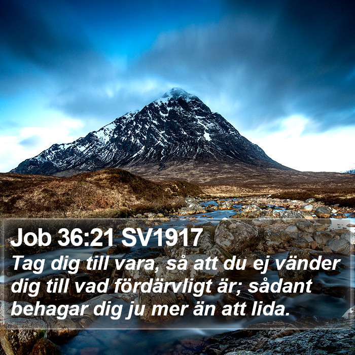 Job 36:21 SV1917 Bible Study