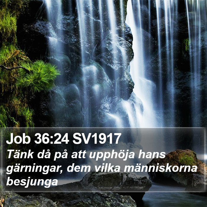 Job 36:24 SV1917 Bible Study