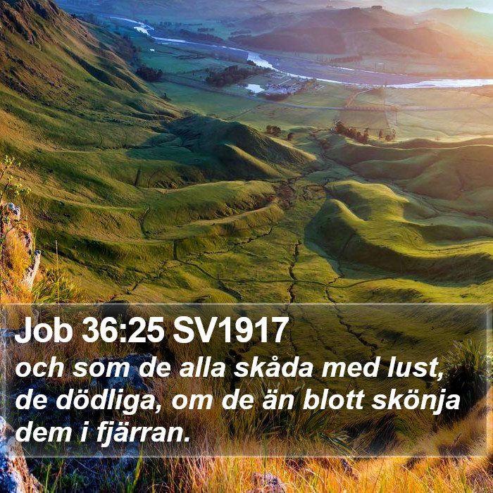 Job 36:25 SV1917 Bible Study