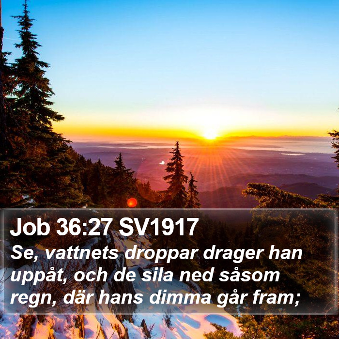 Job 36:27 SV1917 Bible Study