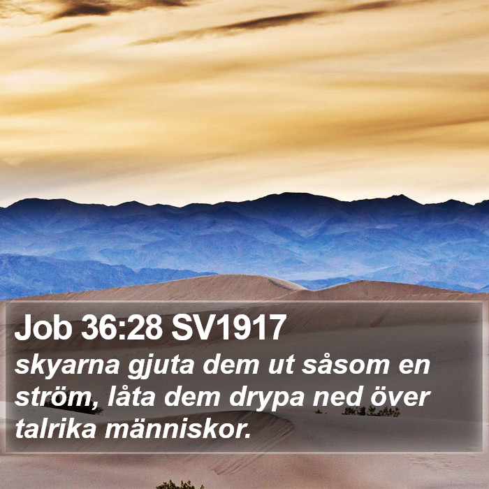 Job 36:28 SV1917 Bible Study