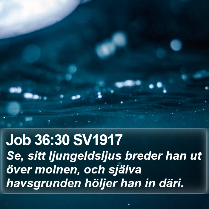 Job 36:30 SV1917 Bible Study