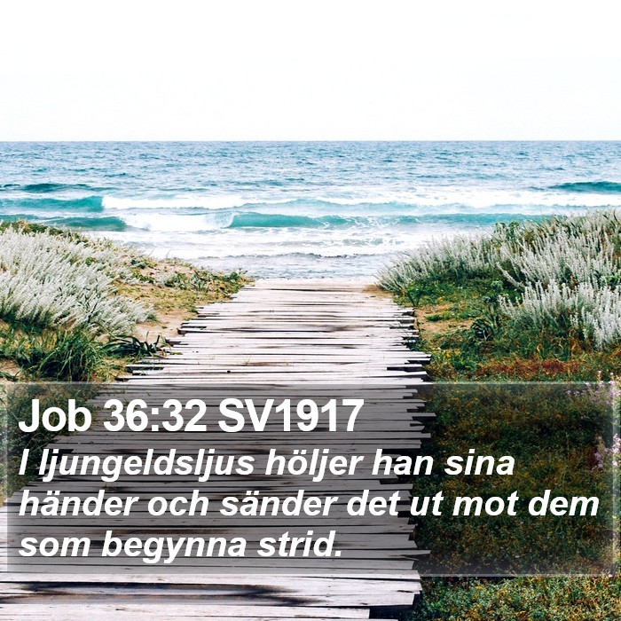 Job 36:32 SV1917 Bible Study