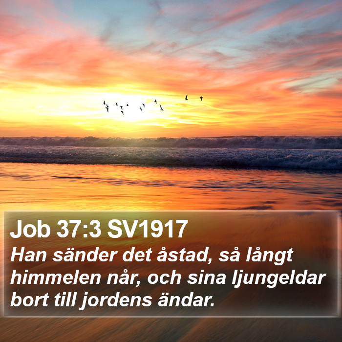 Job 37:3 SV1917 Bible Study