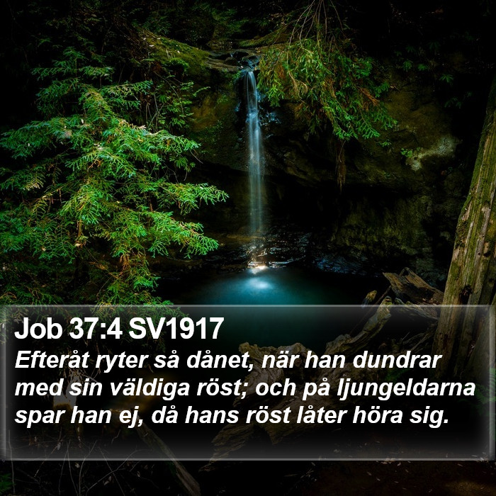 Job 37:4 SV1917 Bible Study