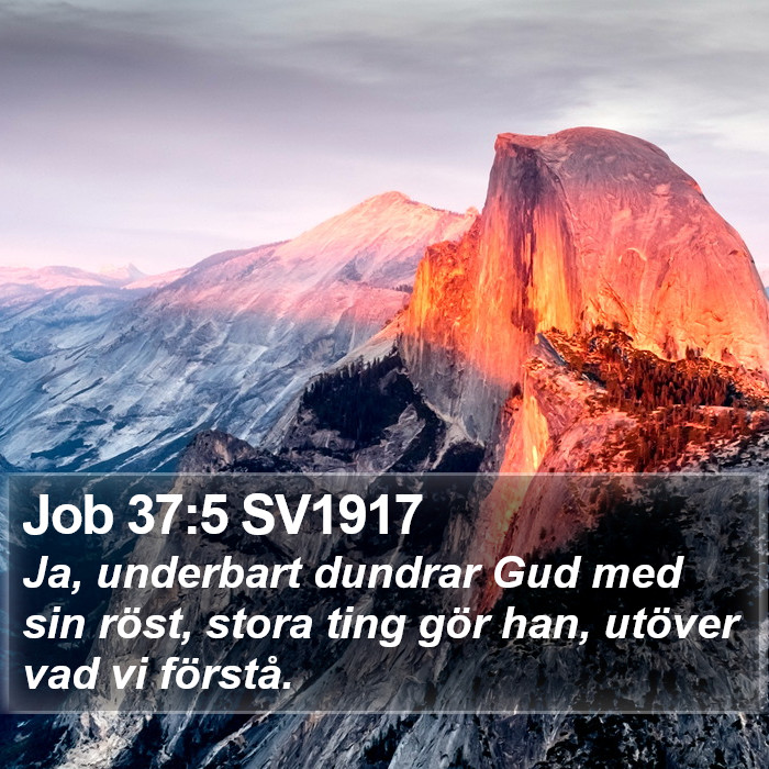 Job 37:5 SV1917 Bible Study