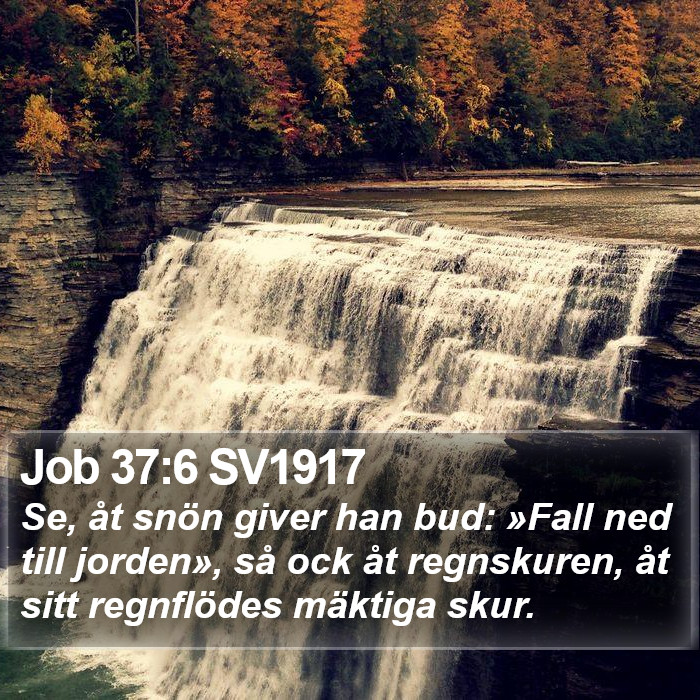 Job 37:6 SV1917 Bible Study