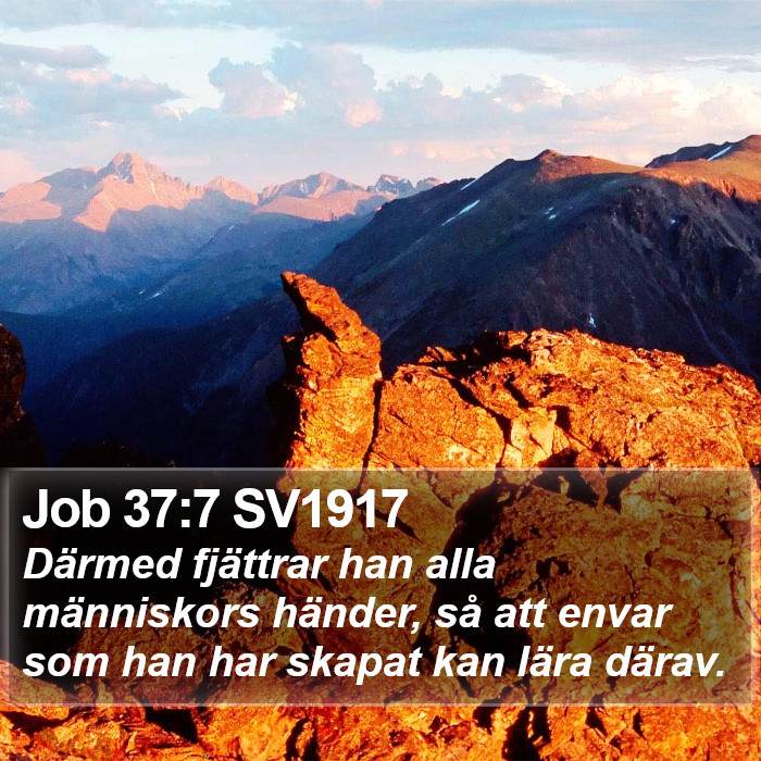 Job 37:7 SV1917 Bible Study