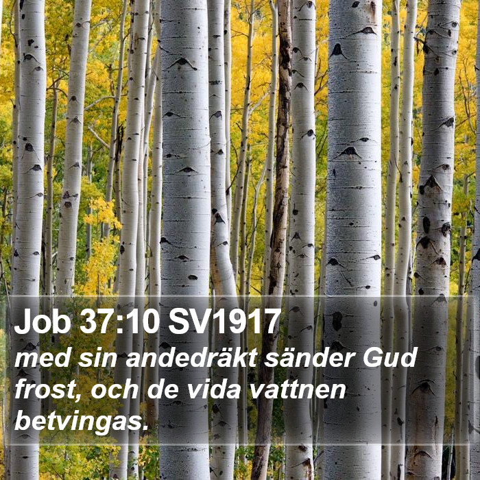 Job 37:10 SV1917 Bible Study