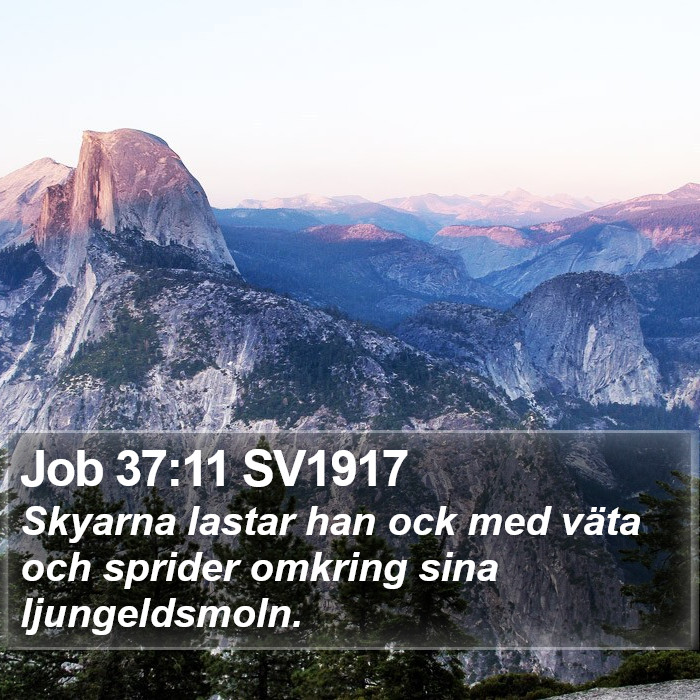 Job 37:11 SV1917 Bible Study