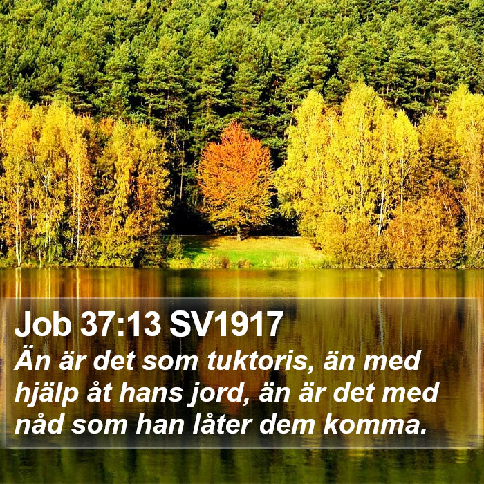 Job 37:13 SV1917 Bible Study