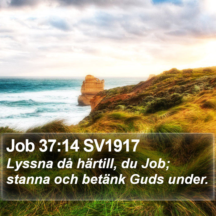 Job 37:14 SV1917 Bible Study