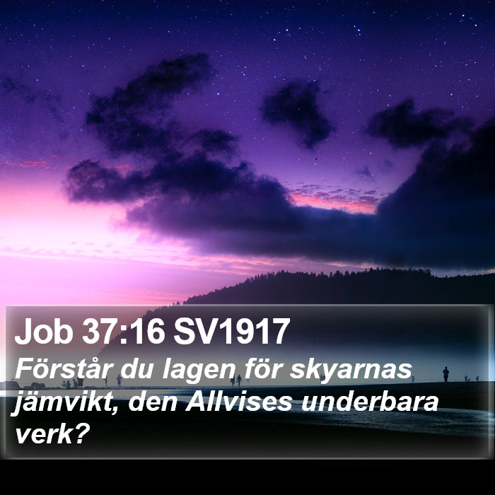 Job 37:16 SV1917 Bible Study