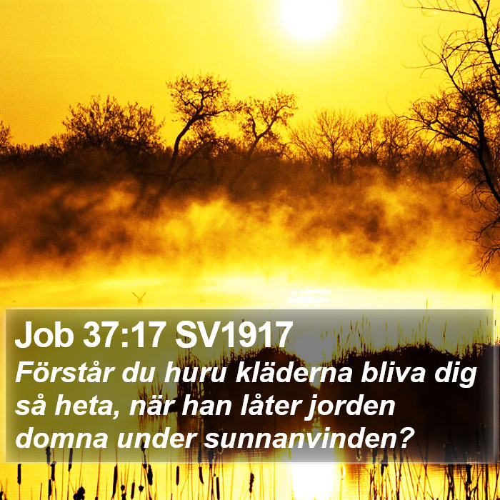 Job 37:17 SV1917 Bible Study