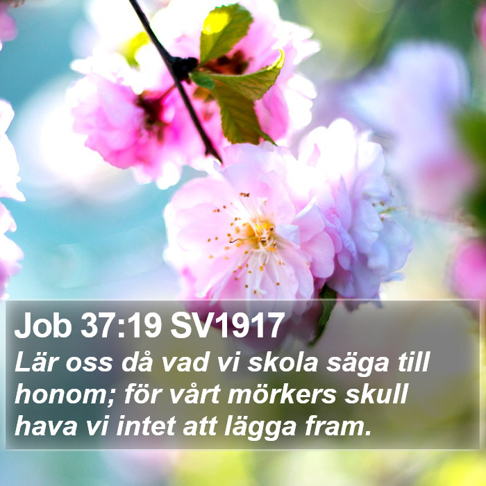 Job 37:19 SV1917 Bible Study