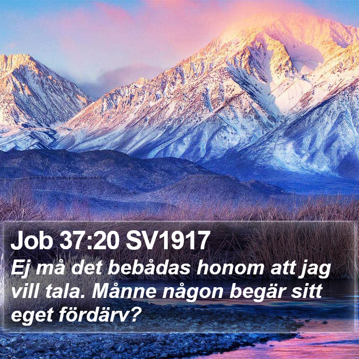 Job 37:20 SV1917 Bible Study