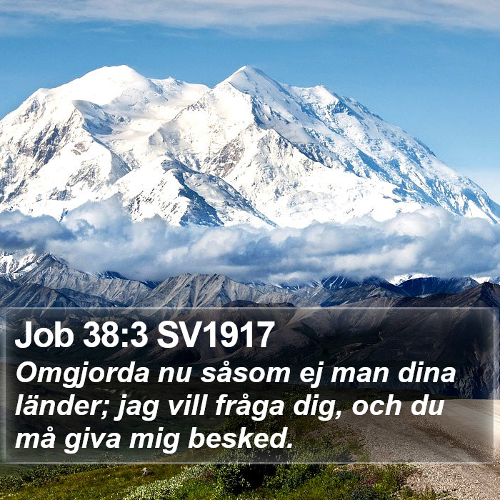 Job 38:3 SV1917 Bible Study